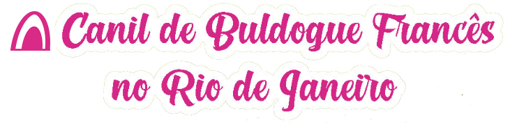 buldogue francês niterói       bulldog francês niterói
        bulldog frances niteroi
        canil bulldog francês niterói
        buldog francês niterói
        buldogue frances niterói
        buldog frances niterói
        bulldog frances niterói